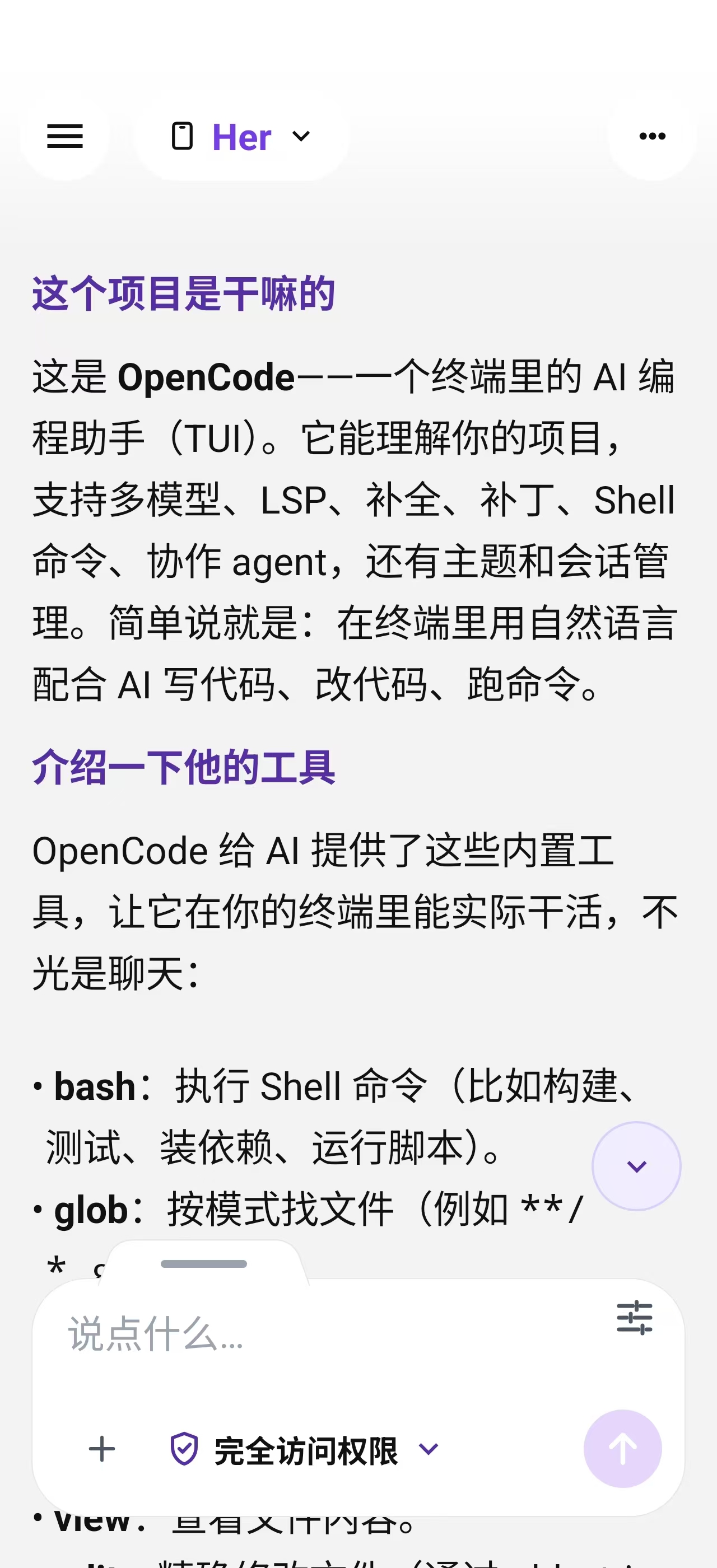 Her 解释导入项目用途的对话截图